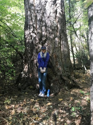 Adventure Photographer Dailyn Matthews in Lassen National Park standing next to a Sequoia tree