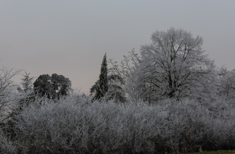 Ice storm in France photographed by Adventure Photographer, Dailyn Matthews