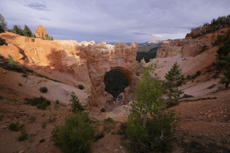 Natural Bridge in Bryce Canyon, Utah photographed by Adventure Photographer, Dailyn Matthews