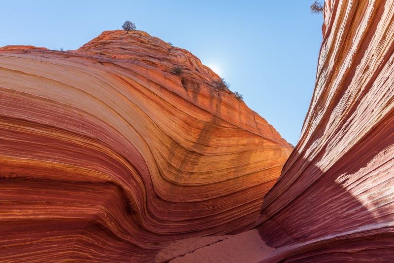 The Wave in the Coyote Buttes wilderness on the edge of Arizona and Utah photographed by Adventure Photographer, Dailyn Matthews