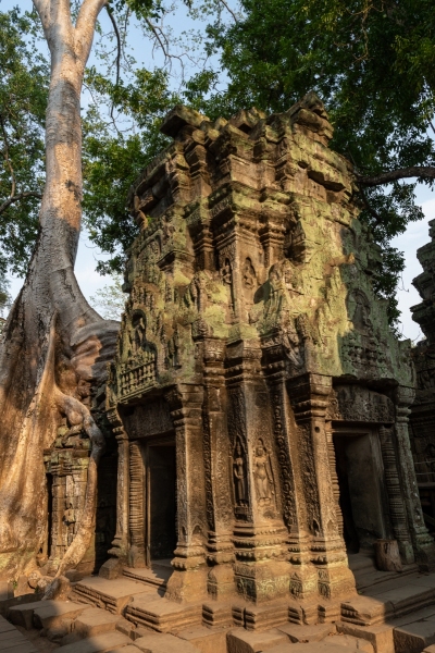Ta Prohm Temple, Siem Reap, Cambodia photographed by Adventure Photographer, Dailyn Matthews