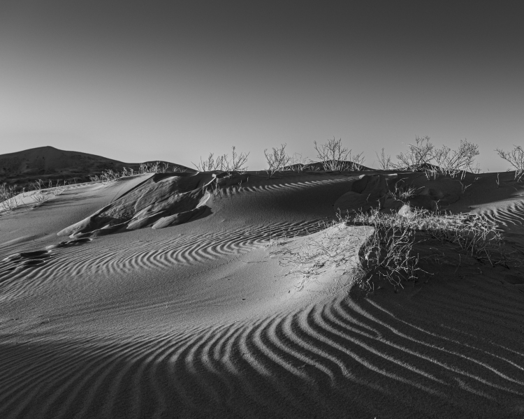Kelso Dunes, Mojave Natural Preserve by Adventure Photographer, Dailyn Matthews
