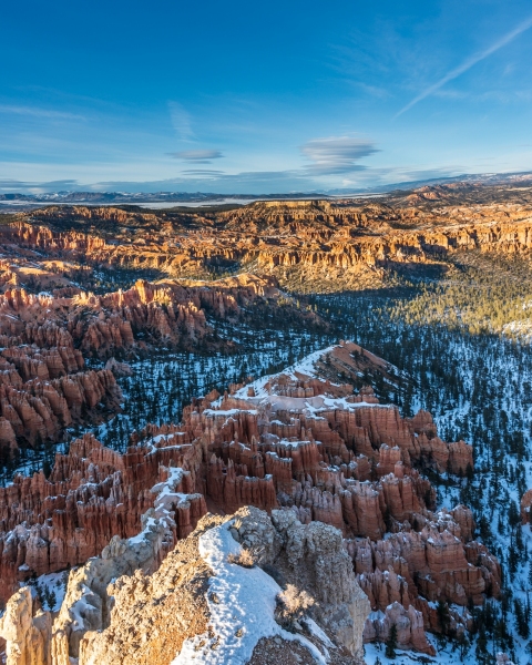 Rainbow Point in Bryce Canyon, Utah photographed by Adventure Photographer, Dailyn Matthews