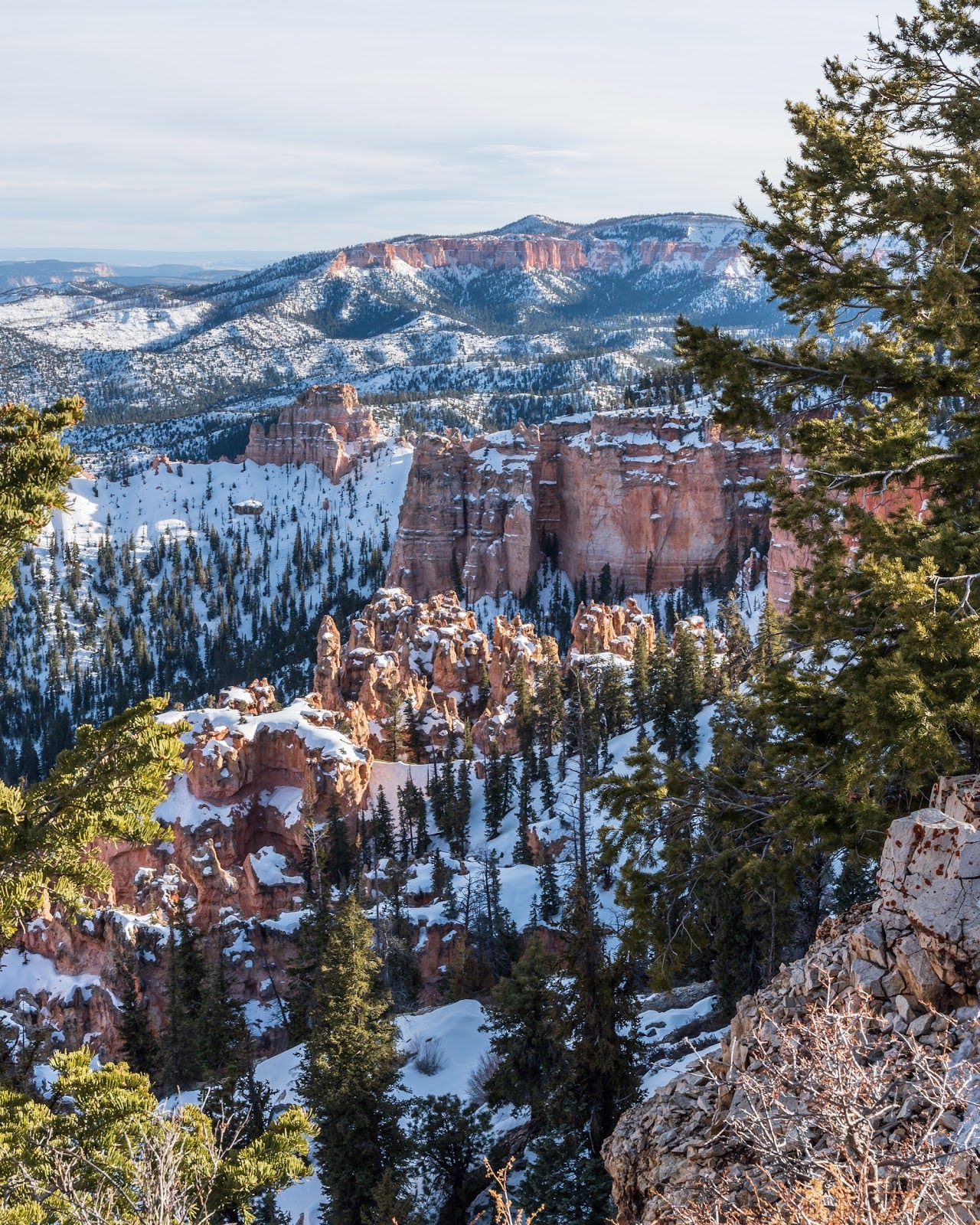 Bryce canyon national park in winter.